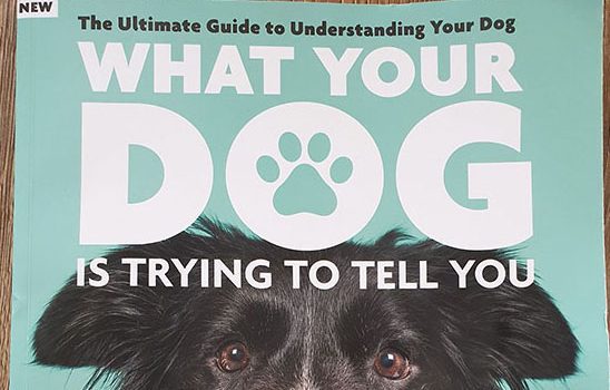 5 Aug 22 – What your dog is trying to tell you