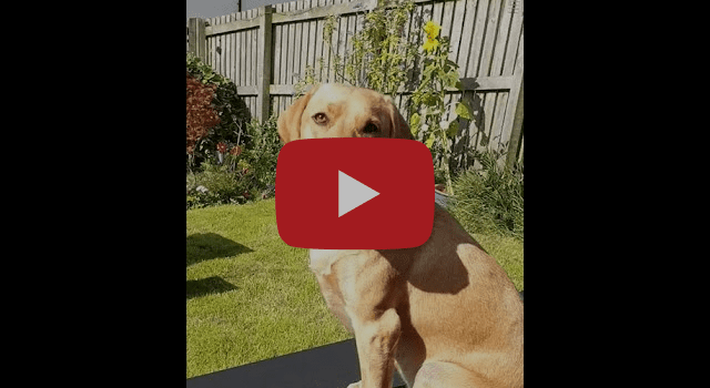 1 September 2023 – TikTok